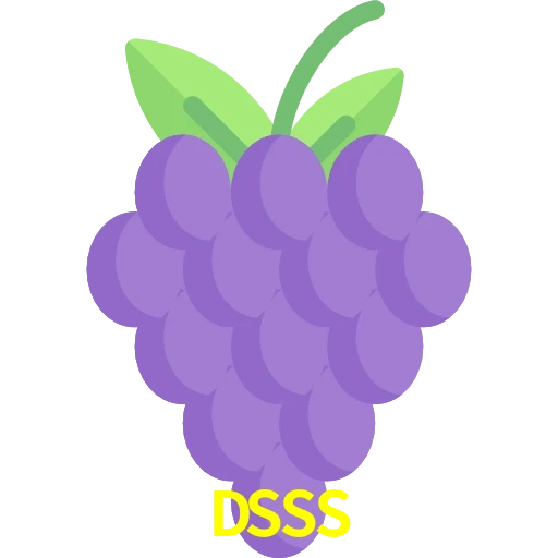 DSSS